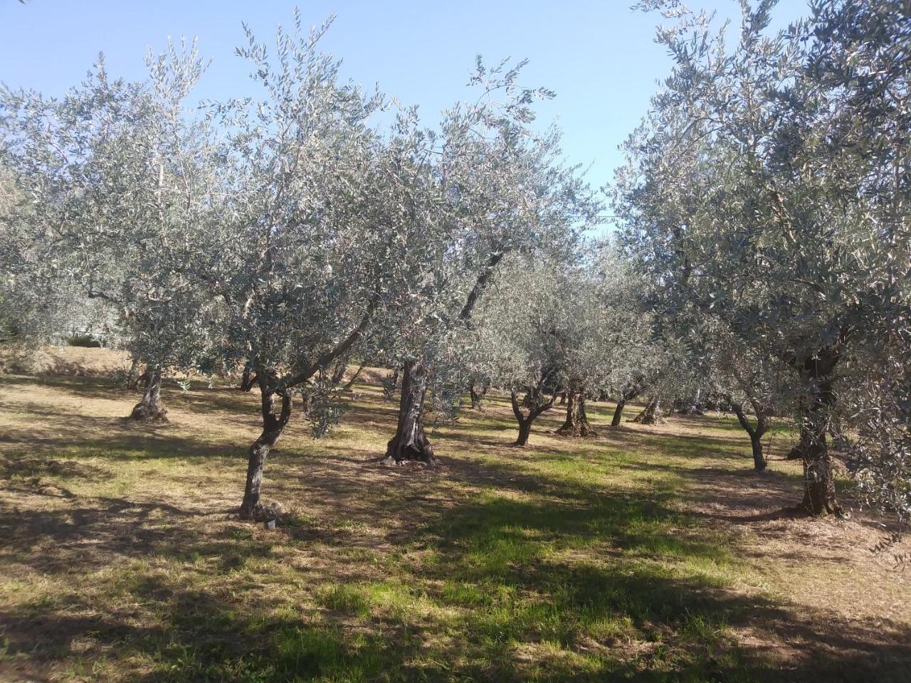 Vila Ai Bastiani Capannori Exteriér fotografie